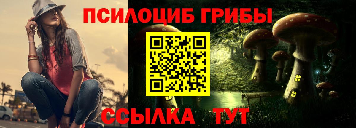 Тавда  Галлюциногенные грибы GOLDEN TEACHER  Вход с VPN 
